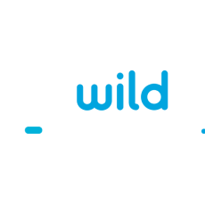 Wild Tornado Casino